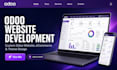 design, redesign, customize and optimize your website in odoo