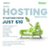 provide you domain web hosting services