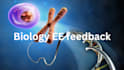 review your ib biology extended essay