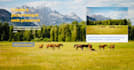 create attractive webpages in html