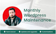 be your  virtual assistant to maintain your wordpress website