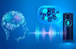 train your ai model
