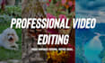 provide professional video editing within 24 hours