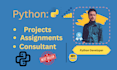 provide professional python programming services