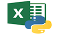do projects on excel and python programming