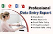 do professional and accurate excel data entry services