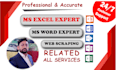 create excel automation, ms word typing work, and web scraping