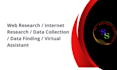 do web research , internet research , VA , data collection