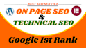 do advance complete on page SEO and technical optimization of wordpress website