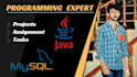 do coding java swing, gui, and console projects