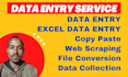 do excel data entry, copy paste, web scraping, file conversion