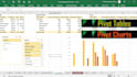 use excel  to develop charts, pivot tables, dashboards, etc