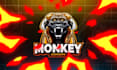 design animated twitch overlay, twitch stream package panels
