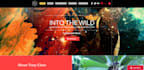 design professional responsive wix website