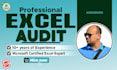do professional microsoft excel audit