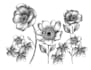 draw a unique dot illustration