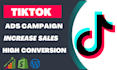 setup and optimize tiktok ads campaign for you