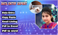 do input data entry copy paste excel data entry