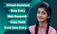 do data entry, web research, copy paste and excel data entry