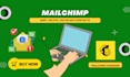 do mailchimp management, sort, tag, filter audience contacts
