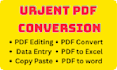 convert pdf to word