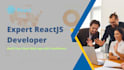 develop reactjs spa and responsive designs