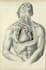 make anatomy and medical illustration for you