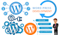 create a professional wordpress website for you