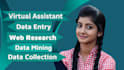 do web research, data entry, data mining and data collection