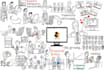 create an engaging whiteboard animation explainer video