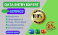 do perfect data entry, copy paste, web research, and excel data entry