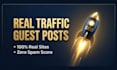 publish high authority guest posts on real traffic sites
