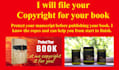 file the copyright paperwork for your book under your name