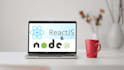 do web development in reactjs, javascript, nodejs and nestjs