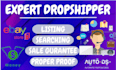 be your expert ebay dropshipper with autods