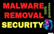 remove malware from any server, cpanel, websites and set up security