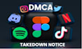 takedown report fb,tiktok,insta,reddit,twitter under dmca