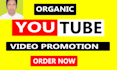commit to youtube channel setup and optimize video promotion