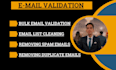 do bulk email validation  in the shortest time