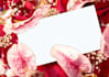 write a press release