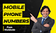 provide targeted email phone number leads