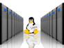 setup and fix cpanel, aws, digitalocean linux server issues