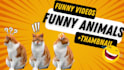 create funny animals videos, funny cats ,dogs videos,pets compilations in 24hr