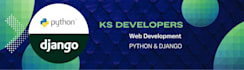 use python and django to develop your software
