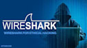 analyze wired and wireless traffic with wireshark