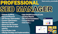 be your SEO manager and boost your website rankings
