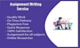 write your assignments as a professional