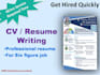 provide professional resume, CV writing and design services