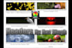 wordpress,website Header, Banner within 24 hours
