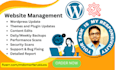 provide maintenance and support for your wordpress website